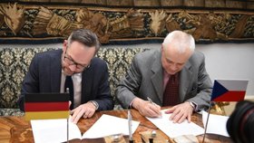 Česká delegace v čele s Vladimírem Špidlou jednala v Praze s německou delegací o migraci.