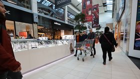 Předvánoční nákupy v Česku