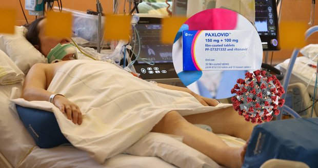 Paxlovid proti covidu v Praze: Mají ho zatím čtyři nemocnice, další přibudou