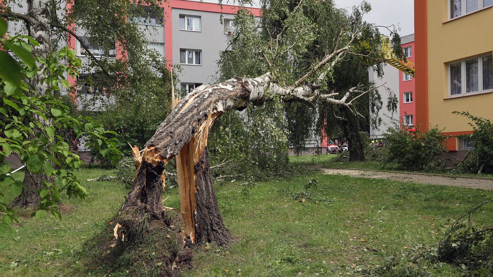 V souvislosti s vlnou silných bouřek hasiči v Moravskoslezském kraji evidovali na 200 zásahů.