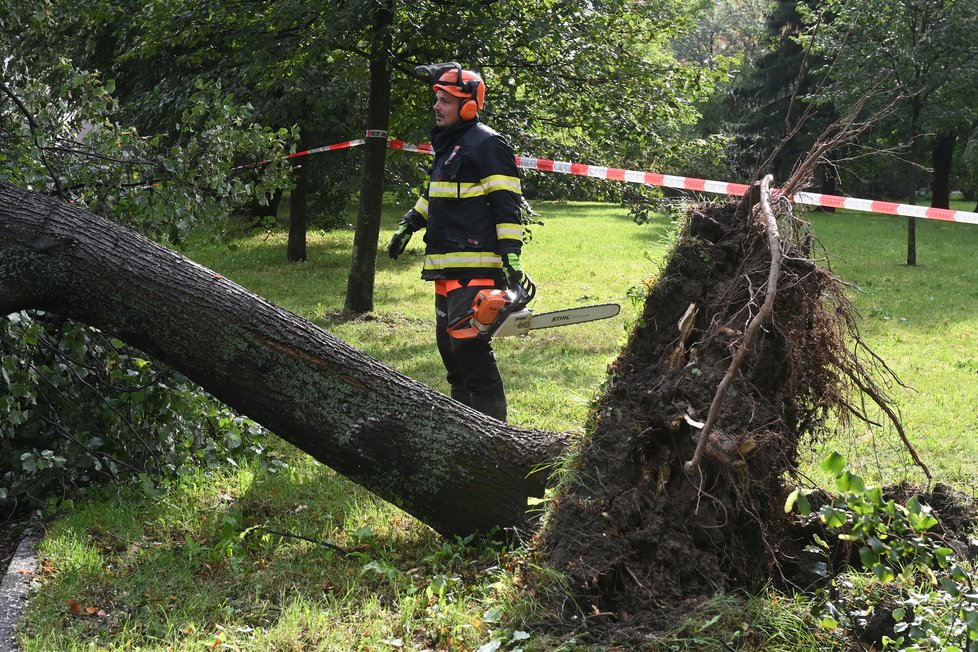 Hasiči v Olomouckém kraji evidovali kvůli silným bouřkám bezmála 160 případů