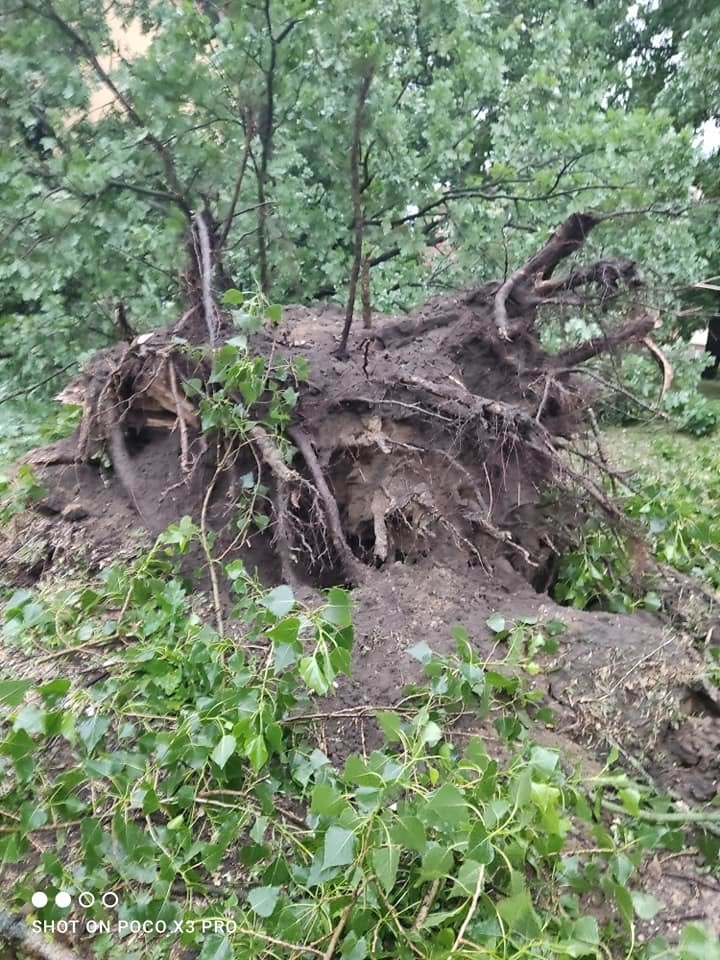 Přes Hodonín se zřejmě přehnalo tornádo.