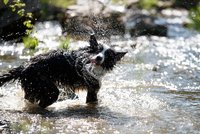 Tropy v Česku: 31,6 °C u Prahy, na Milešovce padl 40 let starý rekord