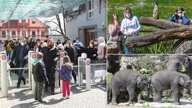 Teplé počasí vylákalo Čechy do ZOO