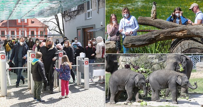 Teplé počasí vylákalo Čechy do ZOO