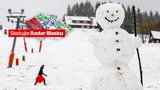 Na Česko se sype sníh. Napadne až 40 centimetrů. Meteorologové zpřísnili výstrahu, sledujte radar Blesku