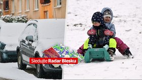 Sněhová kalamita v Česku