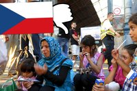 Neziskovky se zlobí: Stydíme se za postoj Česka k uprchlíkům, blížíme se Rusku
