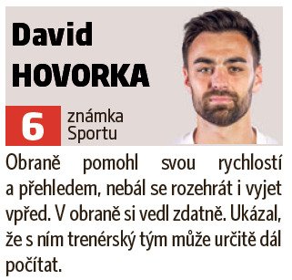 David Hovorka