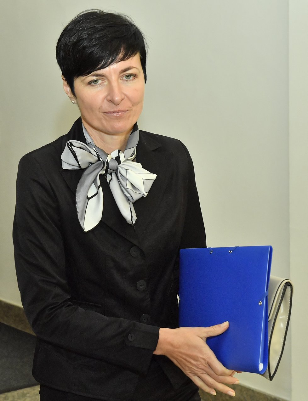 Pražská vrchní státní zástupkyně Lenka Bradáčová je podle premiéra jedna z těch, která si stěžuje na ředitele GIBS Michala Murína. I ona přijde na jednání sněmovního bezpečnostního výboru