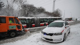 Na Česko se sype sníh (3.2.2019)