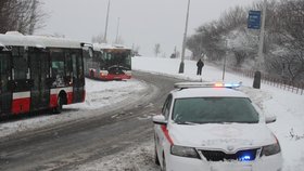 Na Česko se sype sníh (3.2.2019)