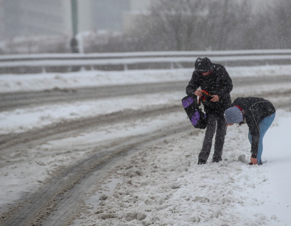 Na Česko se sype sníh (3.2.2019)