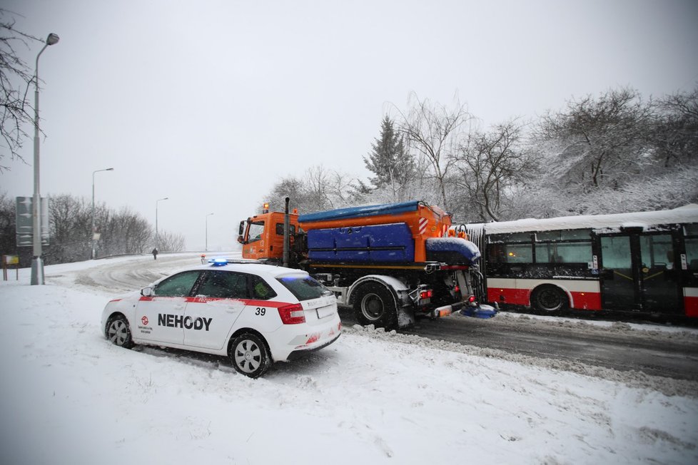 Sníh nahradilo jarní počasí a 15 stupňů