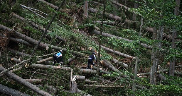 Některé turistické trasy v jižní části Národního parku Šumava zůstávají, po bouřce a silném větru z noci na sobotu 19. srpna, nepřístupné. Jedná se například o úseky Nové Údolí - Třístoličník - Plechý, Schwarzenberský plavební kanál - Plešné jezero - Jelení Vrchy nebo cyklotrasy v okolí Jeleních Vrchů a Stožce. Na snímku z 21. srpna cyklisté projíždí kolem polomů u cesty kolem Schwarzenberského kanálu u Jeleních Vrchů.