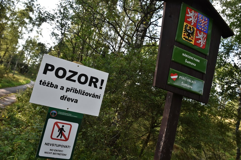 Některé turistické trasy v jižní části Národního parku Šumava zůstávají, po bouřce a silném větru z noci na sobotu 19. srpna, nepřístupné. Jedná se například o úseky Nové Údolí - Třístoličník - Plechý, Schwarzenberský plavební kanál - Plešné jezero - Jelení Vrchy nebo cyklotrasy v okolí Jeleních Vrchů a Stožce. Na snímku z 21. srpna je upozornění u Raškova poblíž Nové Pece.