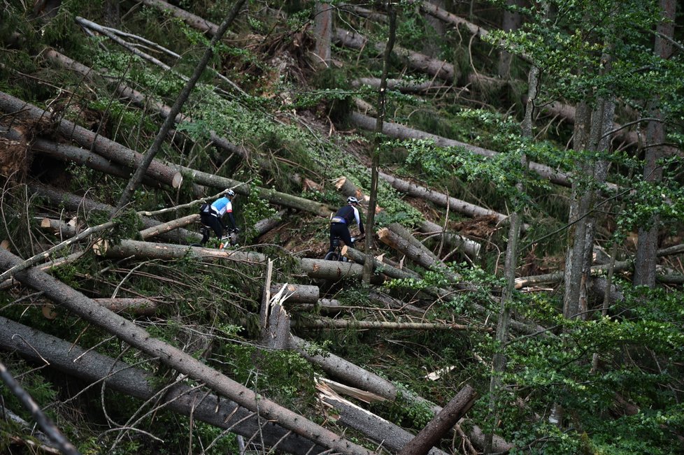 Některé turistické trasy v jižní části Národního parku Šumava zůstávají, po bouřce a silném větru z noci na sobotu 19. srpna, nepřístupné. Jedná se například o úseky Nové Údolí - Třístoličník - Plechý, Schwarzenberský plavební kanál - Plešné jezero - Jelení Vrchy nebo cyklotrasy v okolí Jeleních Vrchů a Stožce. Na snímku z 21. srpna cyklisté projíždí kolem polomů u cesty kolem Schwarzenberského kanálu u Jeleních Vrchů.