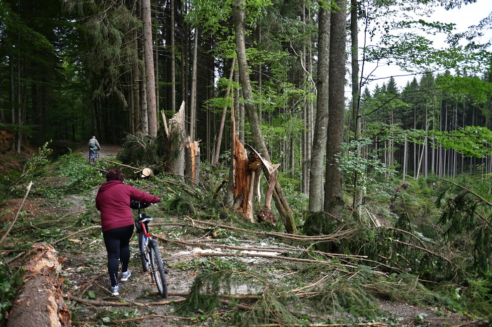 Některé turistické trasy v jižní části Národního parku Šumava zůstávají po bouřce a silném větru z noci na sobotu 19. srpna nepřístupné. Jedná se například o úseky Nové Údolí – Třístoličník – Plechý, Schwarzenberský plavební kanál – Plešné jezero – Jelení Vrchy nebo cyklotrasy v okolí Jeleních Vrchů a Stožce. Na snímku z 21. srpna cyklisté projíždí kolem polomů u cesty kolem Schwarzenberského kanálu u Jeleních Vrchů.