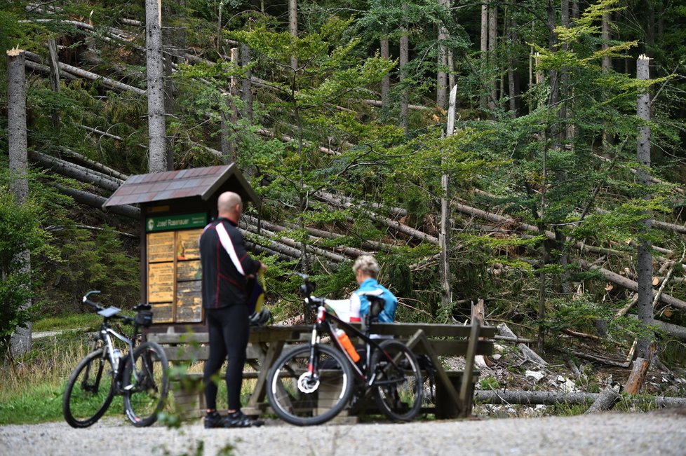 Některé turistické trasy v jižní části Národního parku Šumava zůstávají, po bouřce a silném větru z noci na sobotu 19. srpna, nepřístupné. Jedná se například o úseky Nové Údolí - Třístoličník - Plechý, Schwarzenberský plavební kanál - Plešné jezero - Jelení Vrchy nebo cyklotrasy v okolí Jeleních Vrchů a Stožce. Na snímku z 21. srpna cyklisté projíždí kolem polomů u cesty kolem Schwarzenberského kanálu u Jeleních Vrchů.