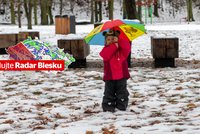 Nadprůměrné teplo v Česku: Bude až 10 stupňů. A dočkáme se bílých Vánoc? Sledujte radar Blesku