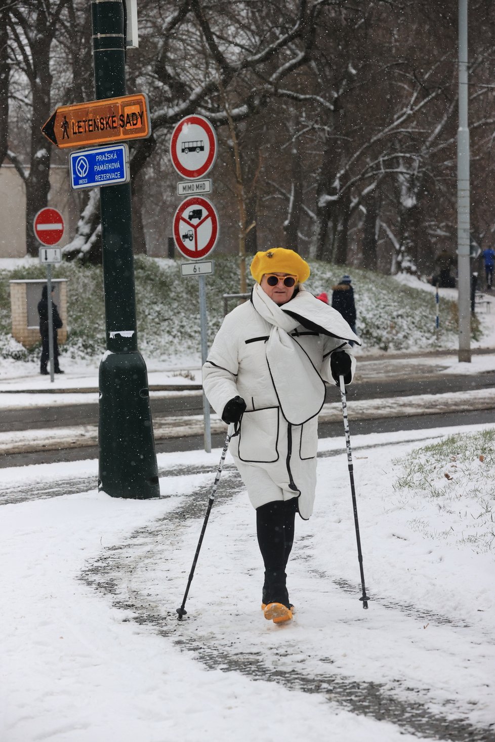 Zima v Česku (leden 2023)