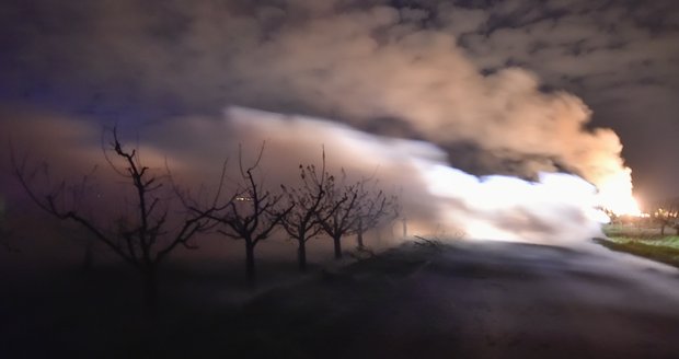 V noci z 20. na 21. dubna, kdy klesla teplota pod nulu, zapálili pěstitelé na Znojemsku haldy větví a slámy. Pro ochranu nejvíce ohrožených meruněk a broskvoní vytvořili umělou mlhu, která měla chránit ovocné stromy před mrazy.