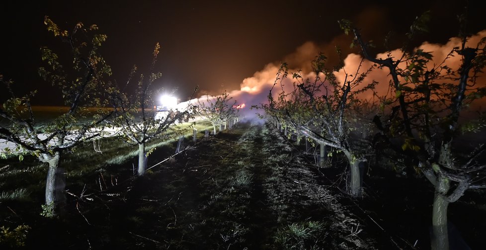 V noci z 20. na 21. dubna, kdy v sadech firmy Pomona Těšetice na Znojemsku teplota klesla až pod mrazivé minus 2 stupně Celsia, zapálili místní pěstitelé haldy větví a slámy. Pro ochranu nejvíce ohrožených meruněk a broskvoní vytvořili umělou mlhu (na snímku) na bázi směsi glycerínu a vody, která měla chránit ovocné stromy před mrazy.