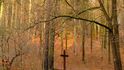 Dřevěný kříž v lese u Svojkova.