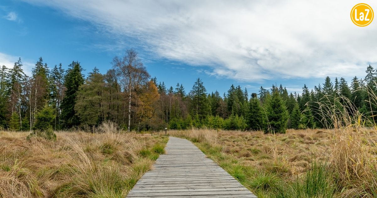 Kaiserwald Chráněná krajinná oblast Slavkovský les slaví 50 let své existence ...