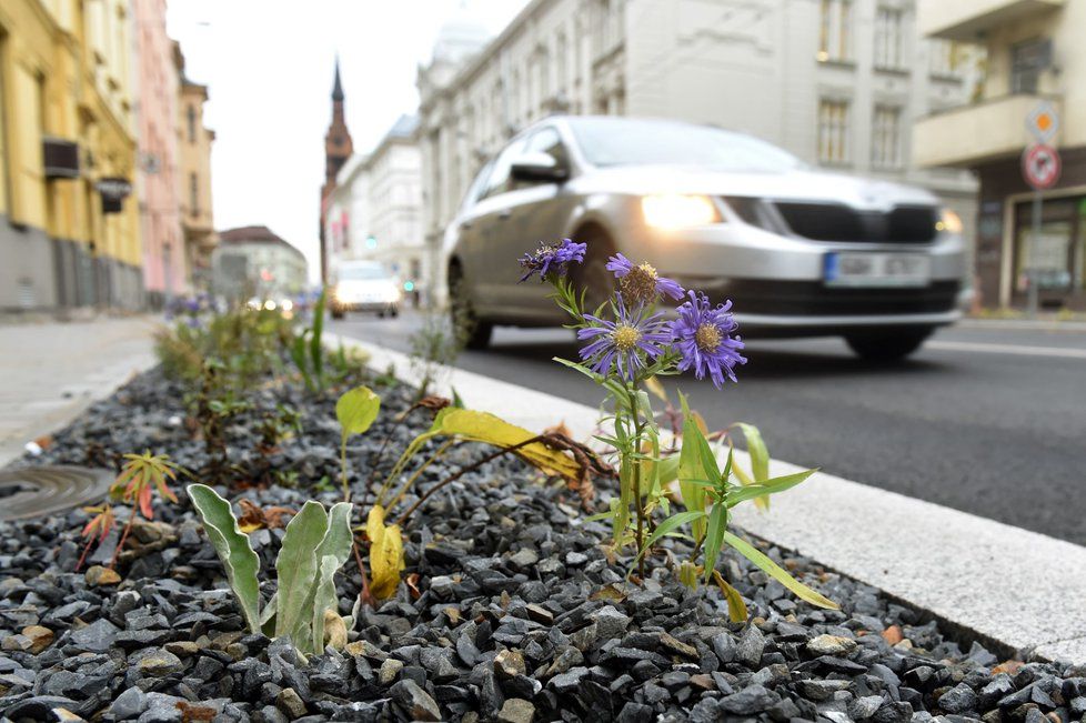 Českobratrská ulice v centru Ostravy slouží od 1. listopadu, po několikaměsíční modernizaci, opět motoristům.