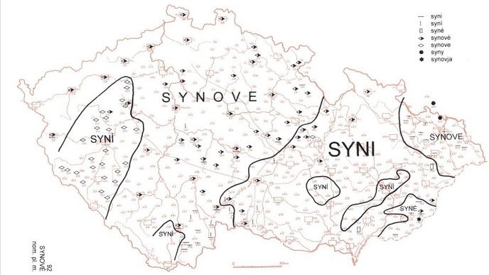 Synové