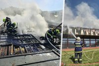 Chtěl se zbavit hnízda, zapálil plavečák: Muži z Krumlova hrozí 8 let