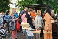 Šílenství u polských hranic: Jahody za 45 Kč/kg! Přehled cen v Česku