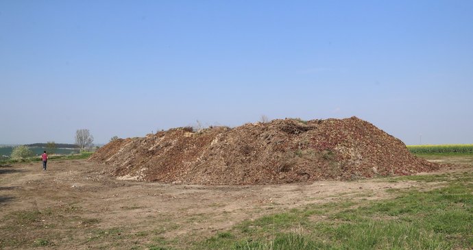 Na pole za město Slaný někdo vyházel stovky kilogramů česneku a cibule. Česnek potom zmizel.