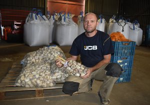 Lukáš Stránský letos  sklidil 1500 tun česneku. klidil 1500 tun česneku.