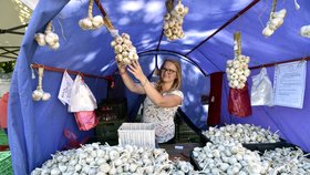 Šestnáctý ročník festivalu česneku se uskutečnil 29. července v Buchlovicích na Uherskohradišťsku. Zároveň si klade za cíl podpořit domácí pěstitele. Slavnosti navštívilo několik tisíc lidí.