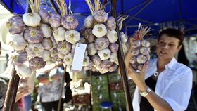 Šestnáctý ročník festivalu česneku se uskutečnil 29. července v Buchlovicích na Uherskohradišťsku. Zároveň si klade za cíl podpořit domácí pěstitele. Slavnosti navštívilo několik tisíc lidí.