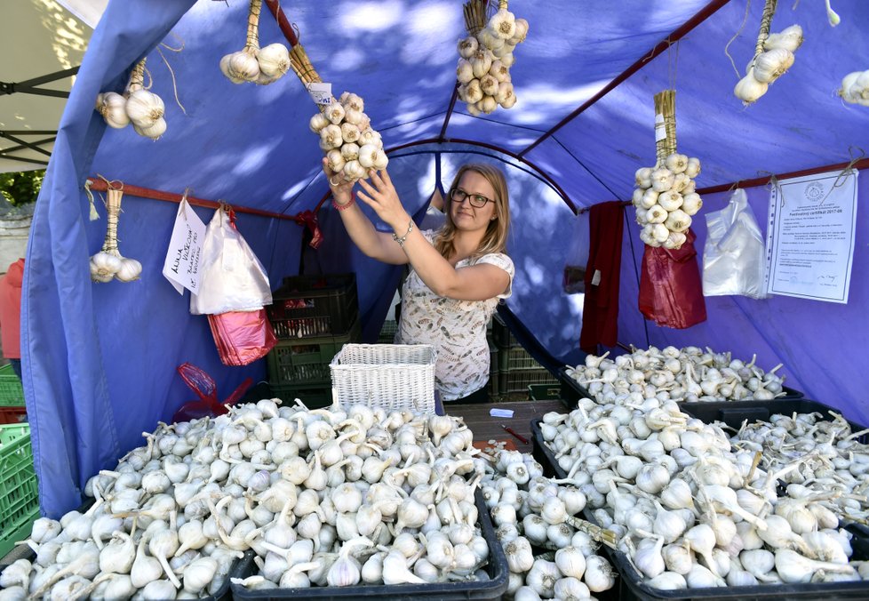 Šestnáctý ročník festivalu česneku se uskutečnil 29. července v Buchlovicích na Uherskohradišťsku. Zároveň si klade za cíl podpořit domácí pěstitele. Slavnosti navštívilo několik tisíc lidí.
