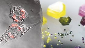 Nanodiamanty sledují dění v zhoubných buňkách