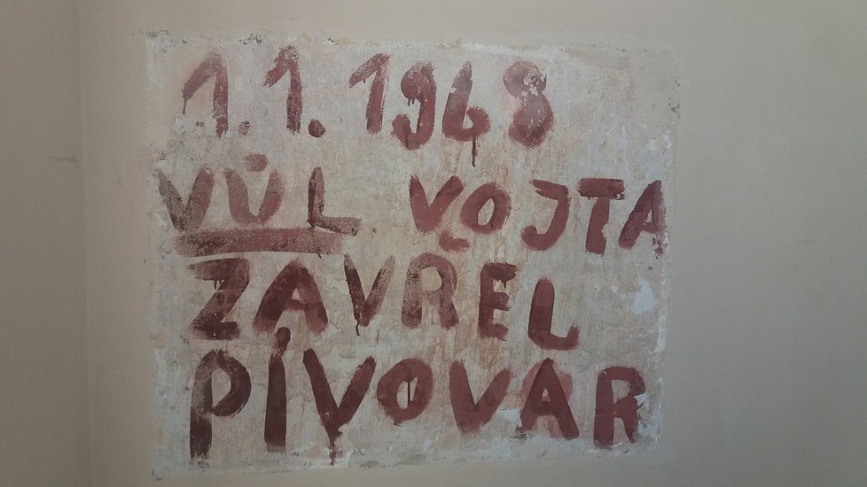 Pivovar Cvikov byl zavřen v roce 1968, po pohnuté historii, kdy v jeho sklepích zavírali v 90. letech mafiáni neplatiče, se přece jen probouzí do krásy a je oblíbeným cílem výletů po okolí.