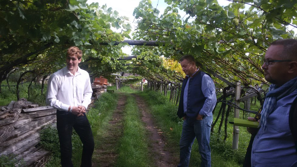vinařství Niklaserhof si vychovává novou generaci vinařů