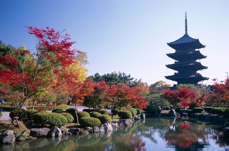 Japonské přírodě vévodí nádherné dřevěné chrámy.