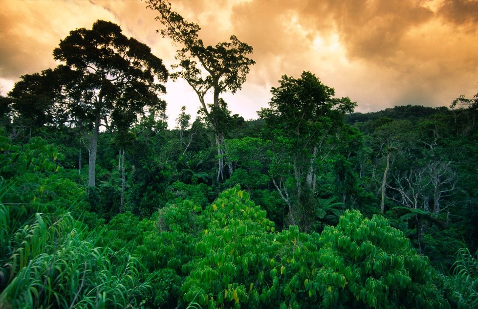 Ostrov Fidži „zdobí“ vulkány pokryté zelenou džunglí.