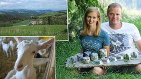 Kozy, kam se podíváš! Cesta do tajů výroby kozího sýra začíná v Rakousku