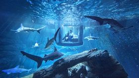 Unikátní pokoj je ponořený v desetimetrové hloubce akvária L&#39;Aquarium de Paris ve Francii.