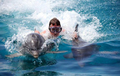 V Karibiku si Parrish zaplaval s delfíny.