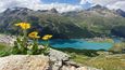 Piz Corvatsch, Alpy