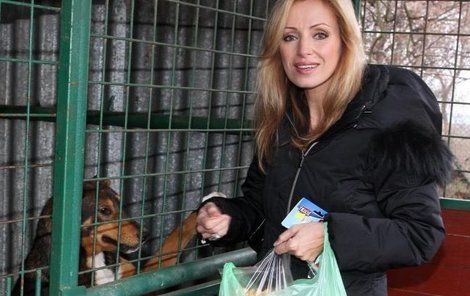 Kateřina Brožová by zpřísnila tresty za týrání zvířat.