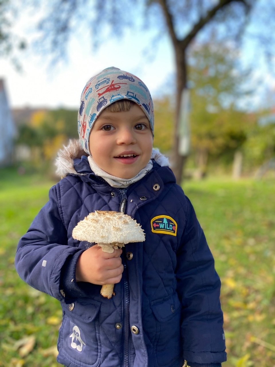 U Adámka objevili lékaři vzácné propojení žilního a tepenního oběhu v mozku, kterému se říká cévní malformace. Je to velmi vzácné, život ohrožující onemocnění.