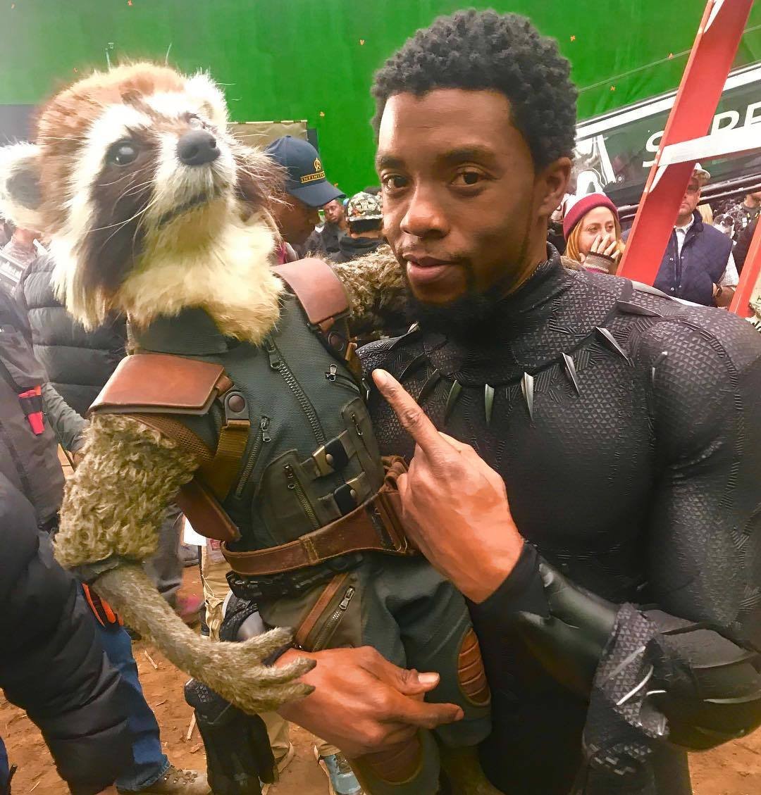 Hollywoodská hvězda Chadwick Boseman zemřel po utajeném boji s rakovinou